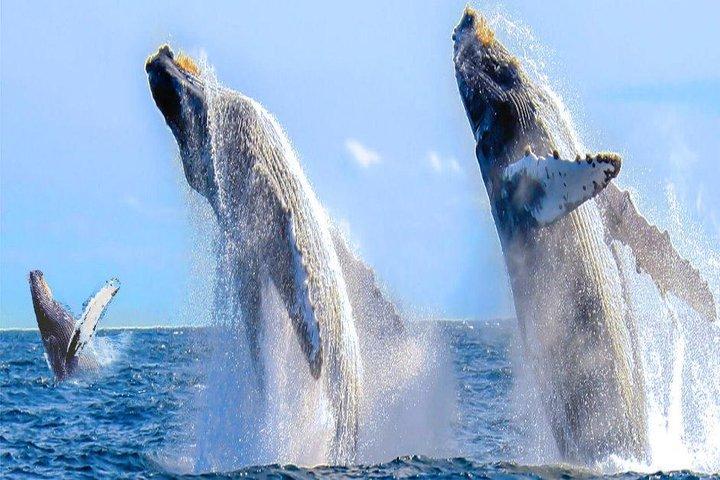 サンフランシスコからのカリフォルニアセントラルコースト3日間プライベートツアー