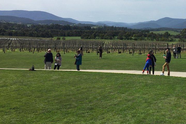 Seværdigheder i nærheden af Yarra Valley Wine Tour
