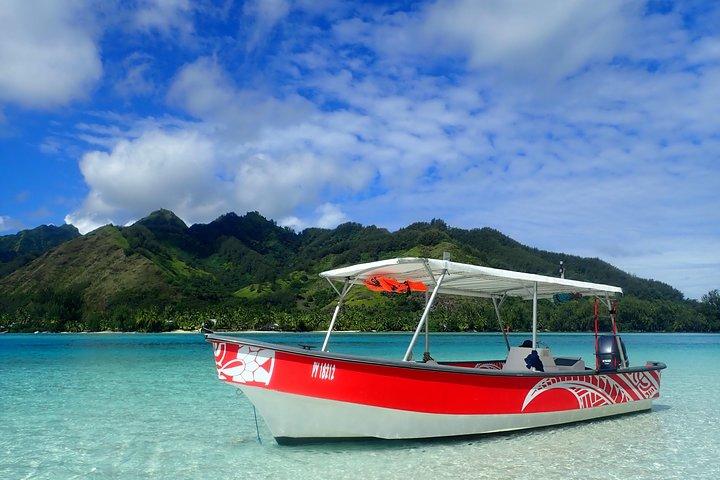 Bådtur 1/2 dags udflugt i lagunen Moorea