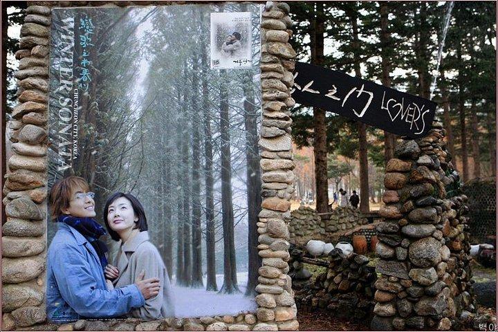 Viaggio privato a Nami Island e Ski Resort