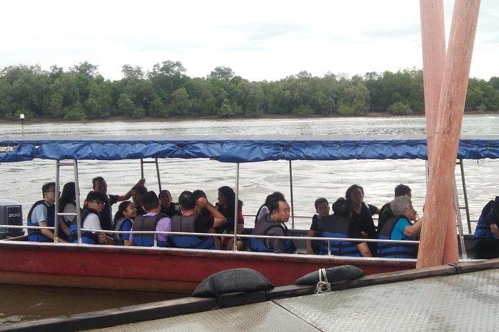 Vaga-lume particular, vaga-lume, águias e macaco