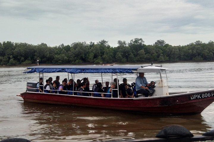 Vaga-lume particular, vaga-lume, águias e macaco