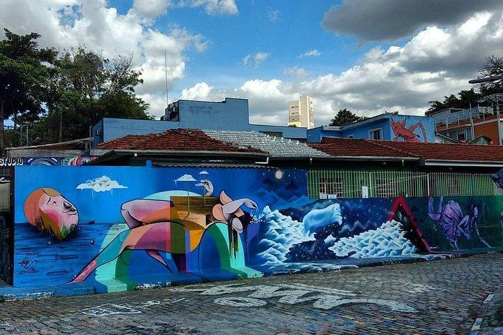 Street Art & Graffiti Sao Paulo 4-timers privat tur