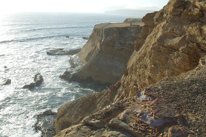 パラカス 1 日 : Islas Ballestas、国立公園、パラカスのサンドボーディング