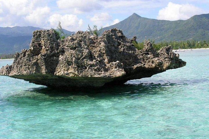 Dolphin Experience i Open Sea och South West Tour i Mauritius inklusive lunch