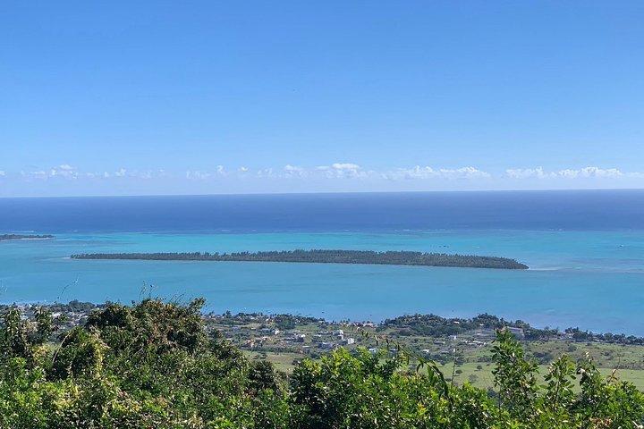 Dolphin Experience i Open Sea och South West Tour i Mauritius inklusive lunch
