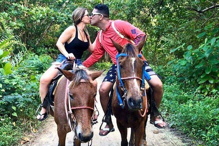 プンタ カナ ビーチでの乗馬