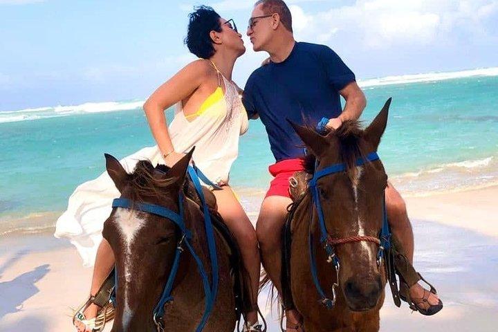 プンタ カナ ビーチでの乗馬