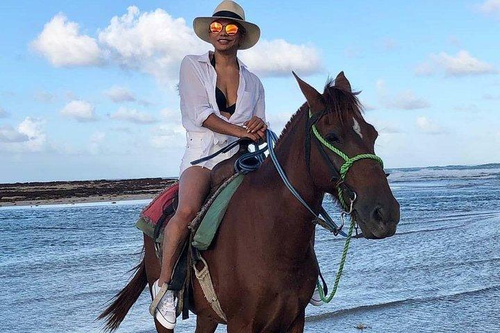 プンタ カナ ビーチでの乗馬