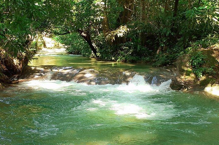 Mayfield Falls natur tur
