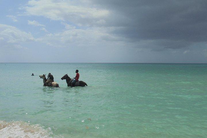 Private Montego Bay lufthavn transfer til Negril