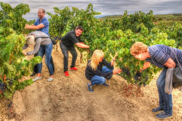 Ein authentisches Rioja-Weinerlebnis