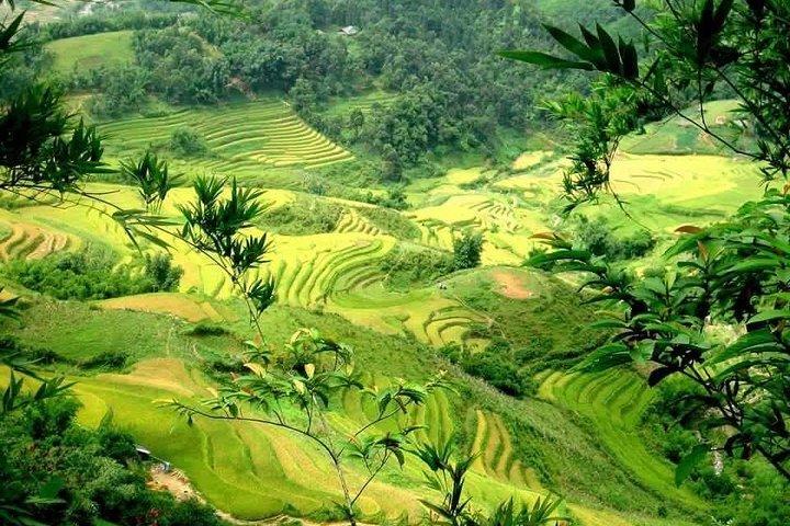 Sapa 2 dagen en 1 nacht vanuit Hanoi per limousine - overnachting in hotel