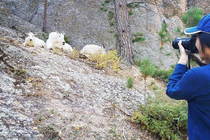 プレミアプライベートツアー:Mt Rushmore、CrazyHorse & Custer State Park