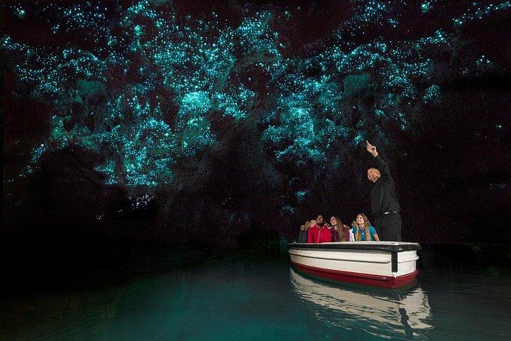 オークランドからのプライベート ツアー - ワイトモ グロウワーム洞窟、ジーロング ティー、キウイ バード