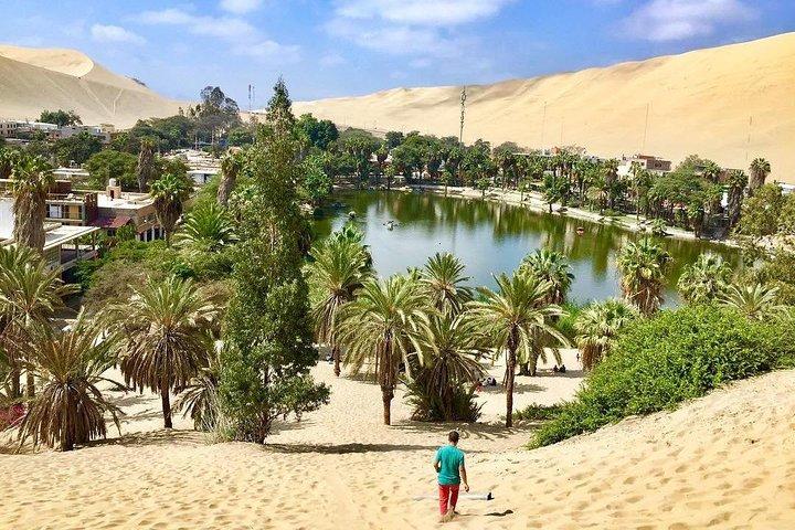 City Tour Ica + Buggies & Sandboarding