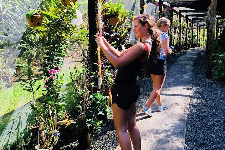 Nadi Sightseeing & Schlammbad-Tour