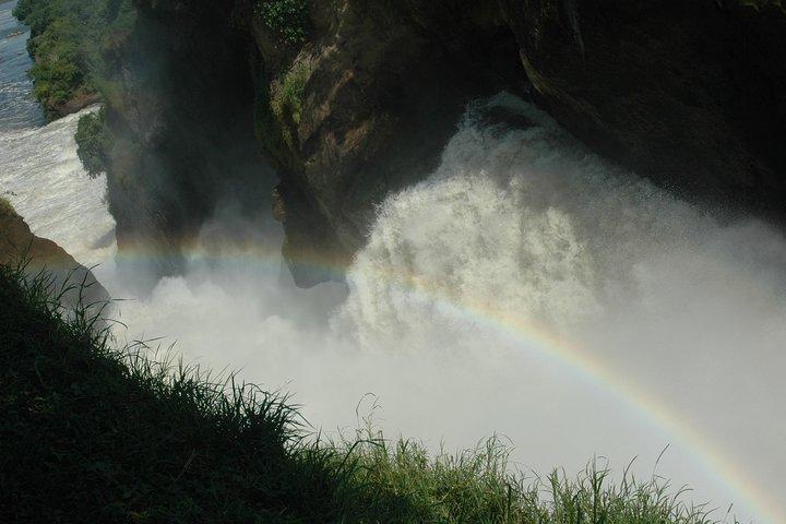 3-tägiger Murchison Falls Nationalpark - Abenteuersafari