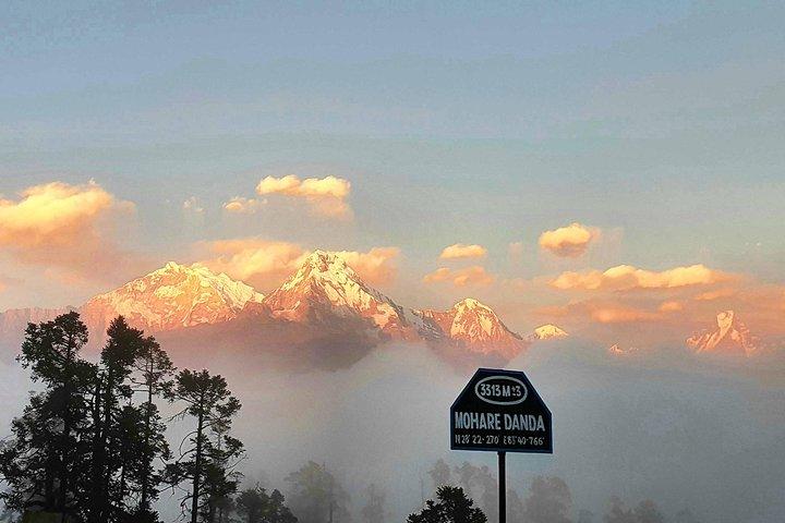 Mohare Danda Trek