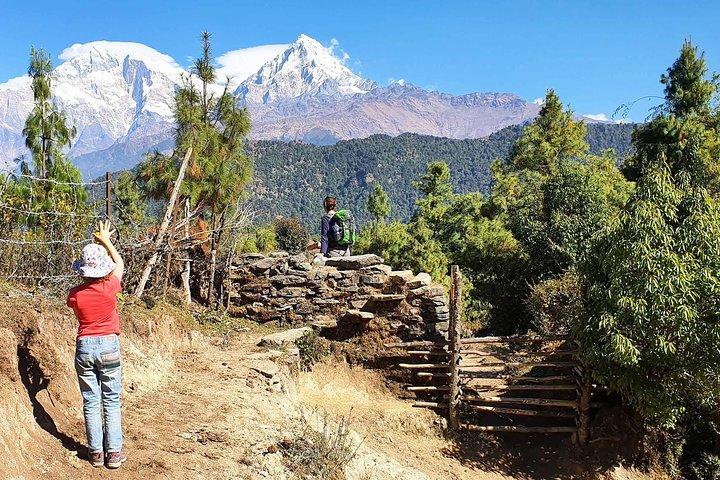 Mohare Danda Trek