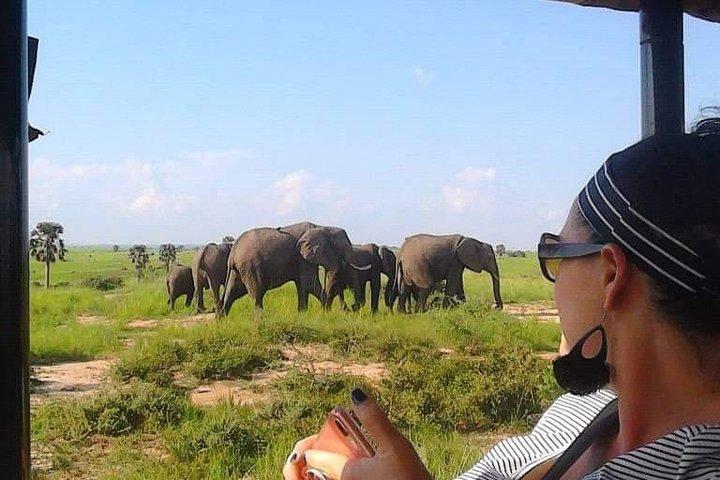 7-tägige Uganda Abenteuer Safari - Midrange Lodges