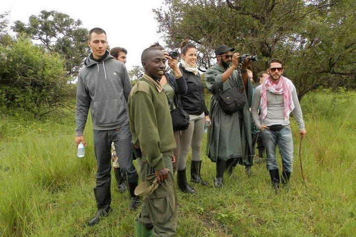 7-tägige Uganda Abenteuer Safari - Midrange Lodges
