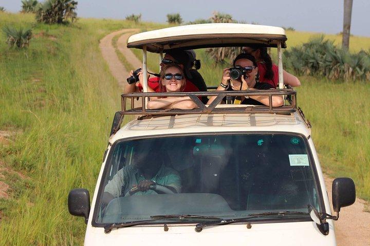 Safari de aventura de 7 dias em Uganda - pousadas de médio porte