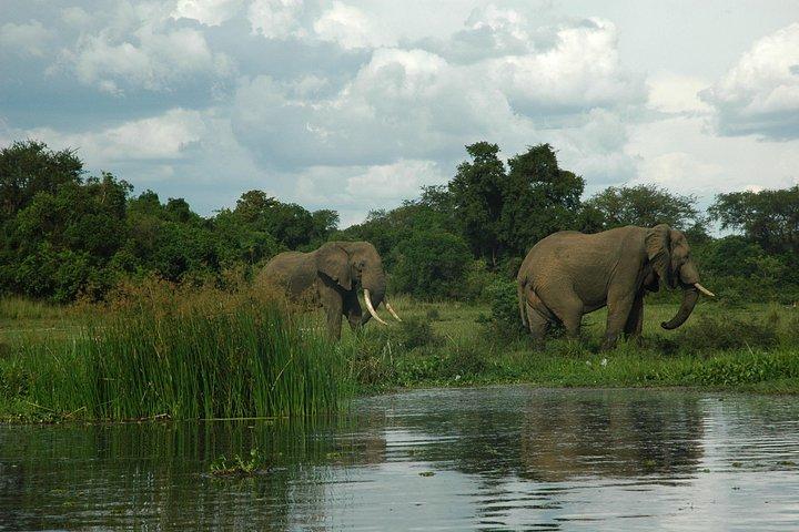 7-Day Uganda Adventure Safari - Midrange Lodges