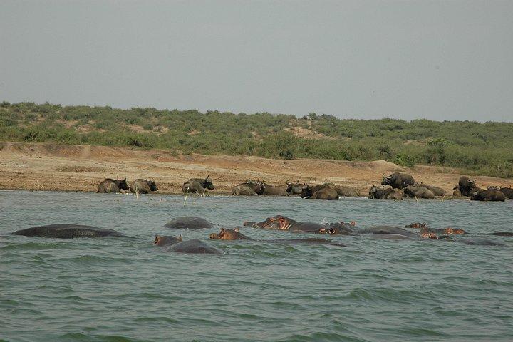 7-Day Uganda Adventure Safari - Midrange Lodges
