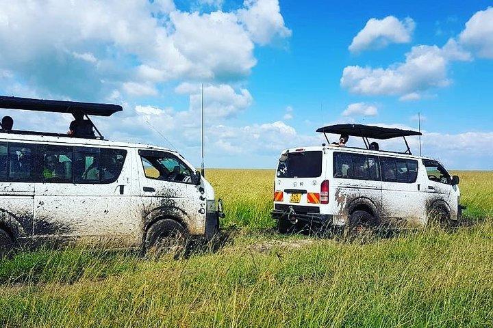 Massai Mara Safari !!