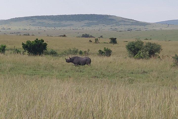 Massai Mara Safari !!