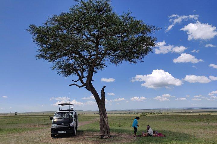 Massai Mara Safari !!