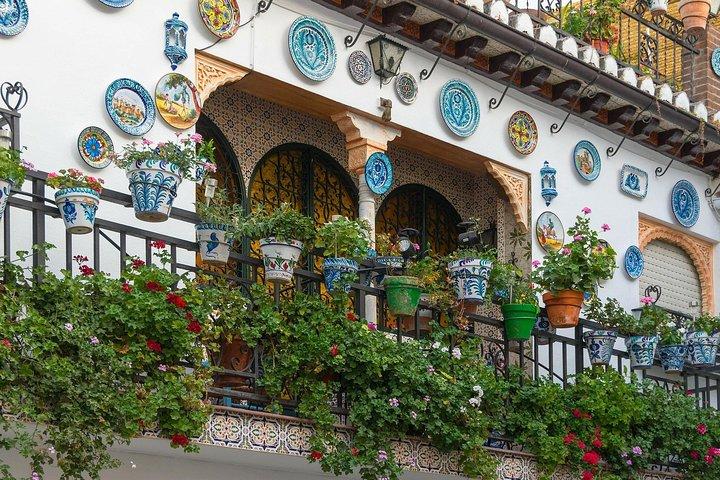 Granada Albaicín y Sacromonte con Museo Cuevas