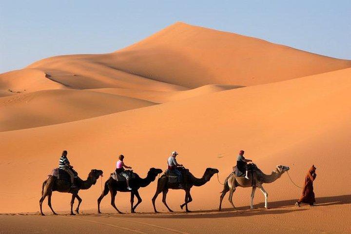Fez a Marrakech Via Merzouga Desert y Camel Trekking tour 2 días