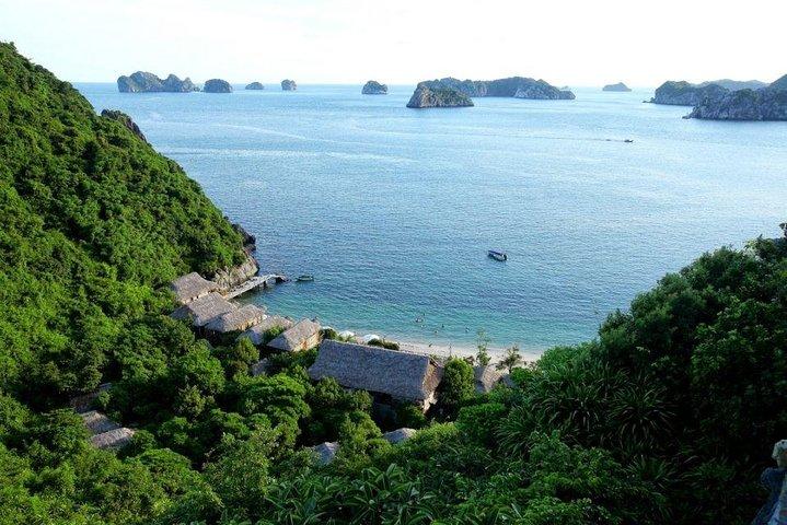 猫バ日帰りクルーズ:ランハ湾-ハロン湾-モンキーアイランド