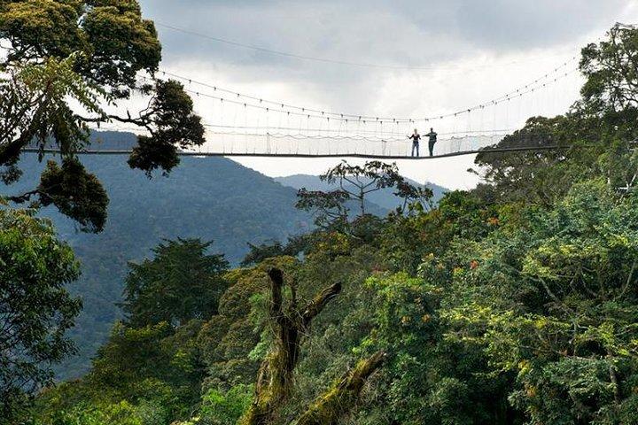 Tour di 14 giorni in Uganda e Ruanda Primate (Midrange Tour)