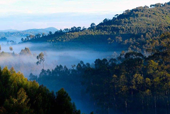 Tour di 14 giorni in Uganda e Ruanda Primate (Midrange Tour)