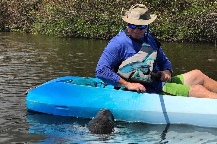 Wildlife Refuge Manatee, Dolphin & Mangrove Kayak oder Paddleboarding Tour!