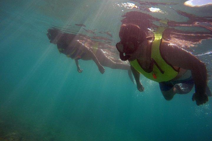 Fajardo Beginner Snorkeling Lesson for Kids & Adults