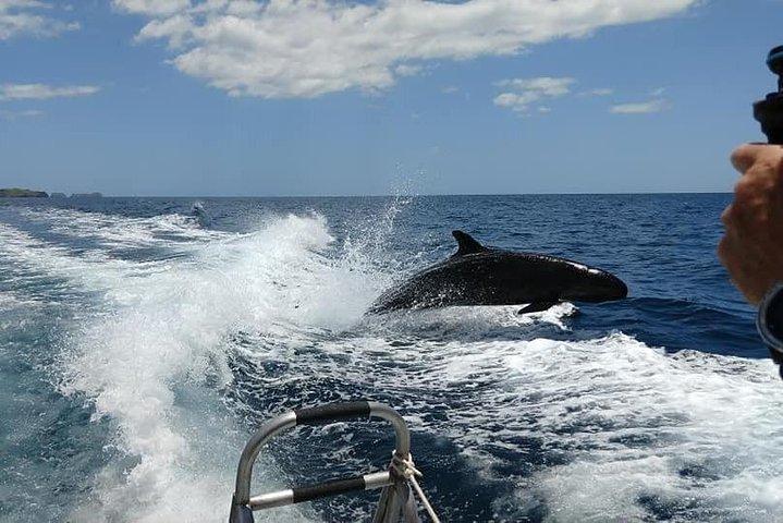 グアナカステでの2回のタンクダイブを含む初心者ダイビングレッスン(2日間)