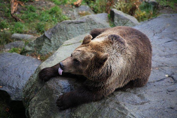ラヌア ズー ワイルドライフ パークへの小グループ体験ツアー