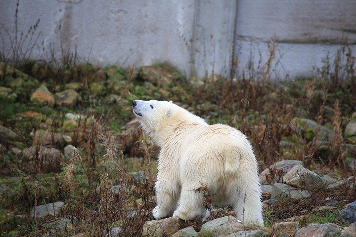 ラヌア ズー ワイルドライフ パークへの小グループ体験ツアー
