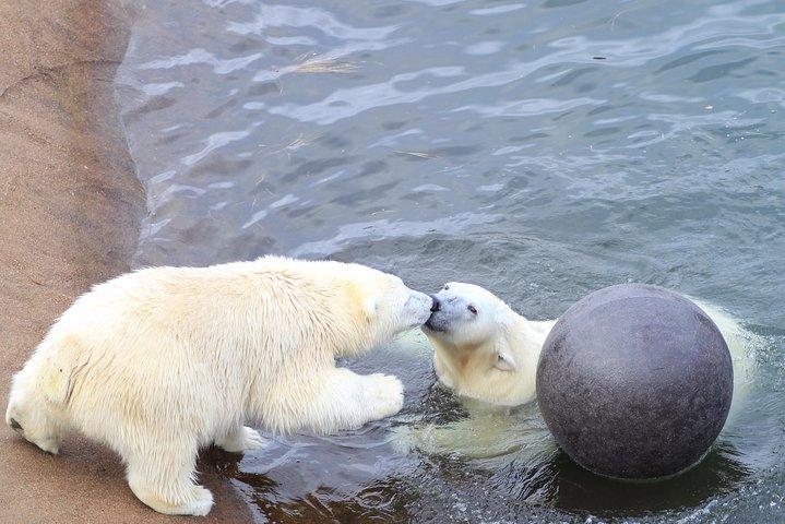 ラヌア ズー ワイルドライフ パークへの小グループ体験ツアー