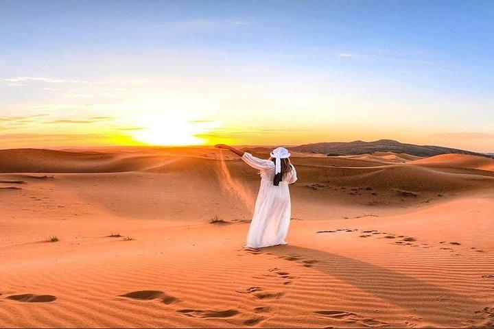 Safari dans le désert de Dubaï, Dune Bashing, balade à dos de chameau, sandboard et barbecue
