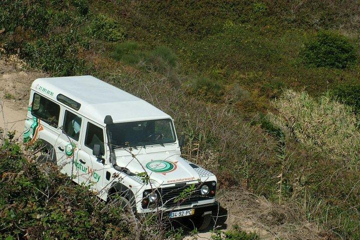 Sintra Jeep Ganzer Tag