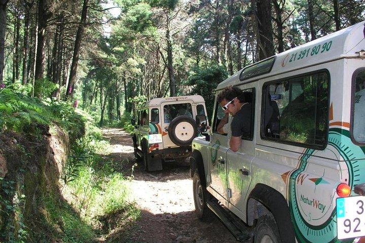 Sintra Jeep Ganzer Tag