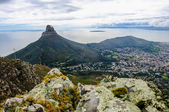 Hike Table Mountain via the India Venster trail