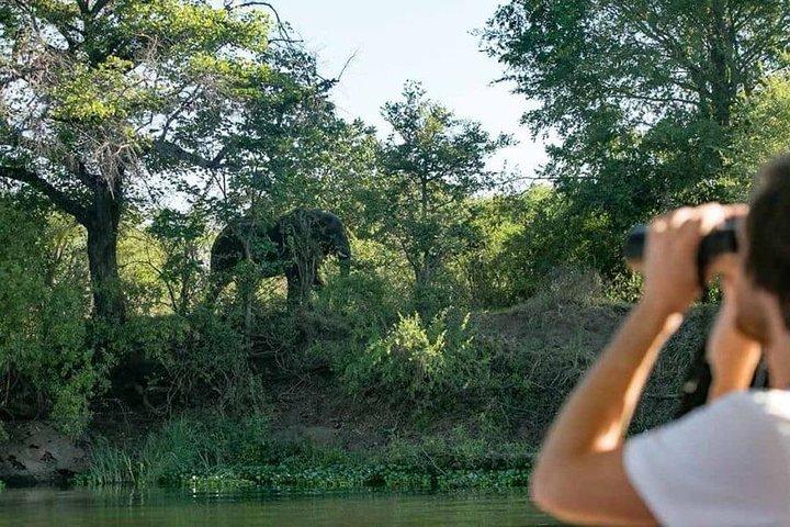 Crociera al tramonto classica Zambezi