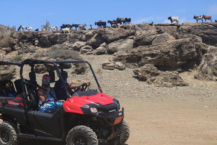 Aruba UTV & ATVアドベンチャー