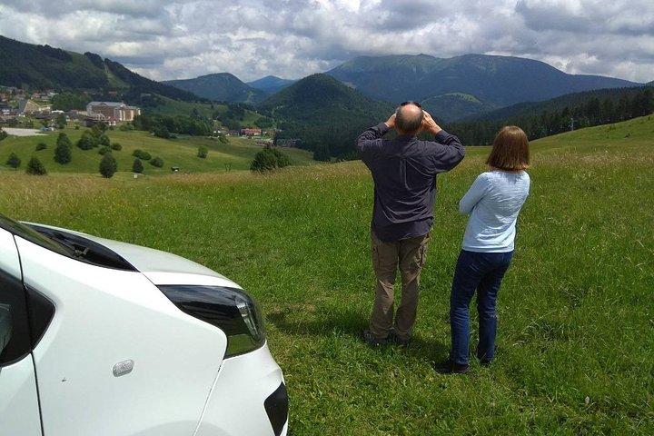 消毒済みの車でのプラハからウィーンへの専用送迎、チェスキー クルムロフで 2 時間停車